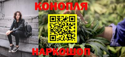 кокс Бердск