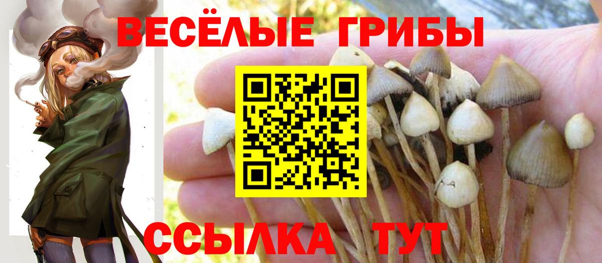 Псилоцибиновые грибы мицелий Кирово-Чепецк